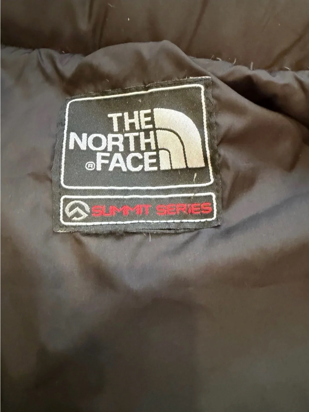 The North Face north face